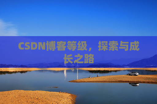 CSDN博客等级，探索与成长之路